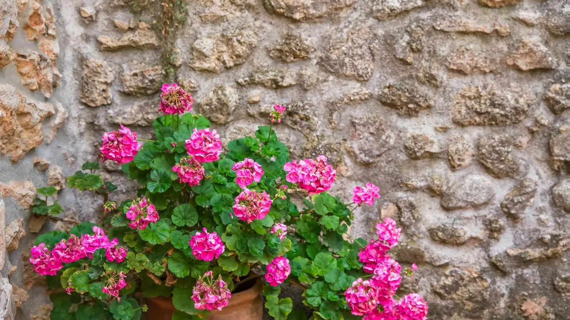 בית נופש בוחר Ideal Property Mallorca - Son Paulo